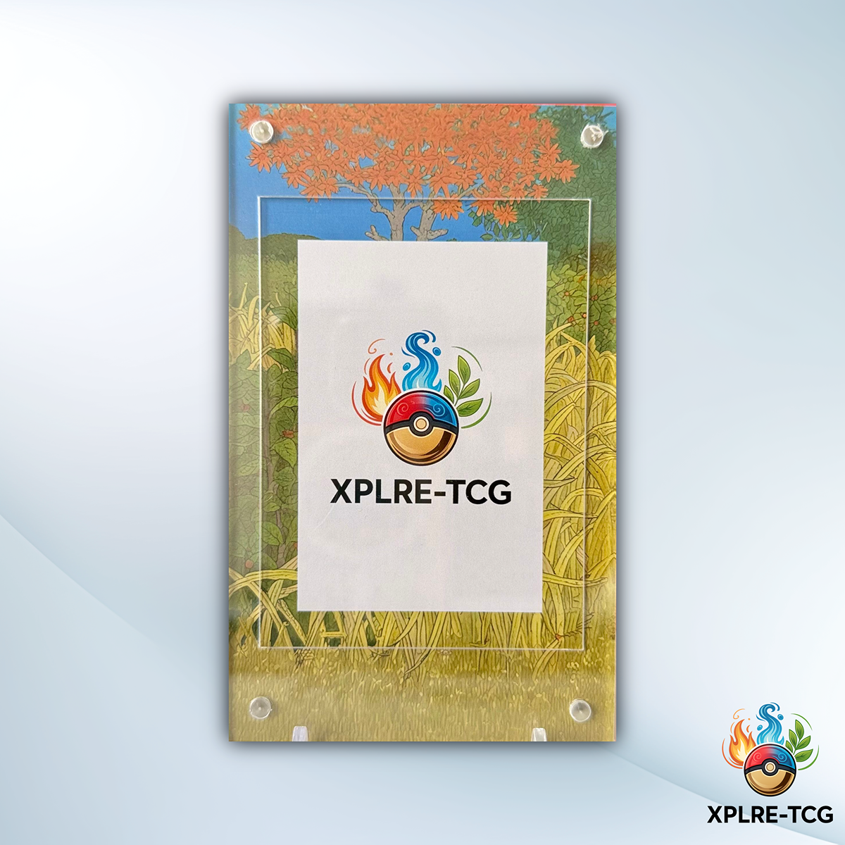 Frizelbliz - MOneC Case