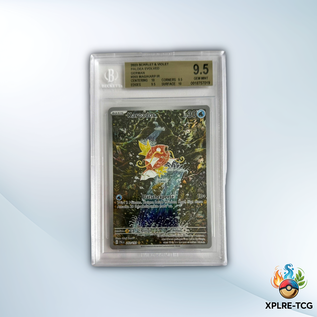Karpador 203/193 | Entwicklungen in Paldea | BGS 9.5