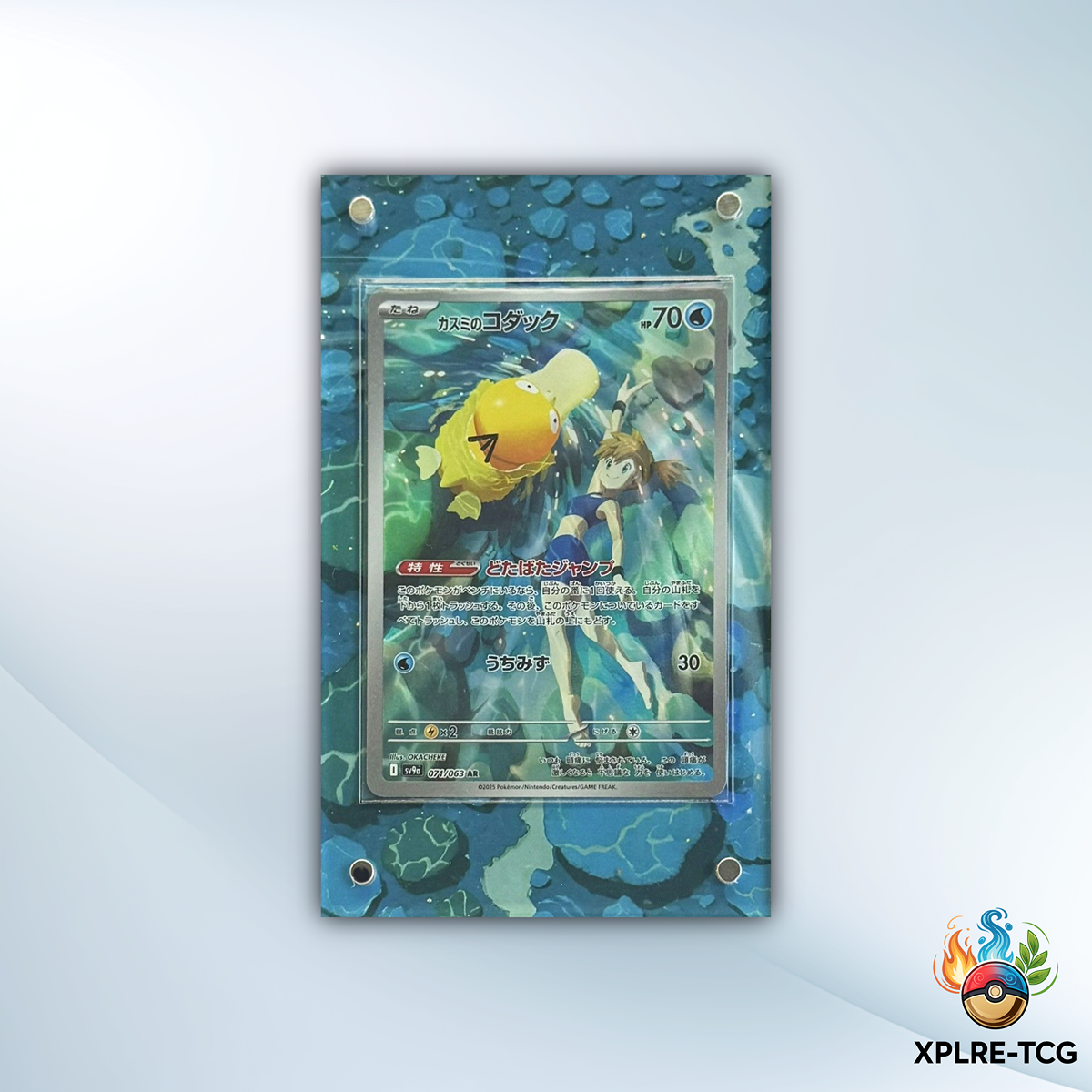 Mistys Enton - MOneC Case